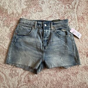 NWT DENIM SHORTS WILD FABLE